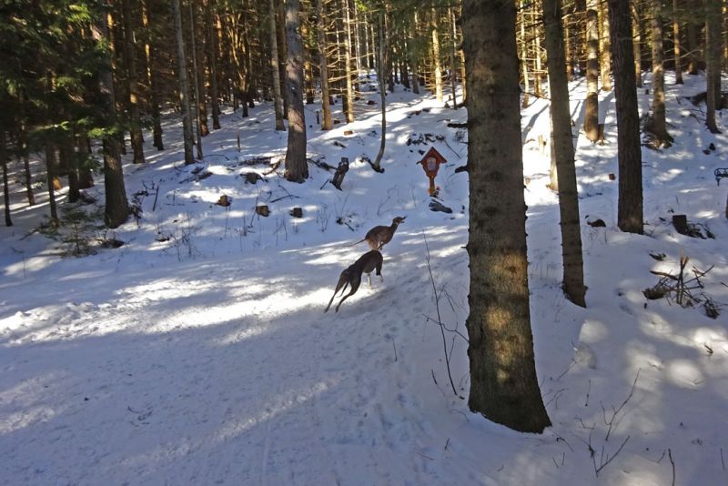 files/_uploads/2009_82_vom Sand in den Schnee/Run1.jpg