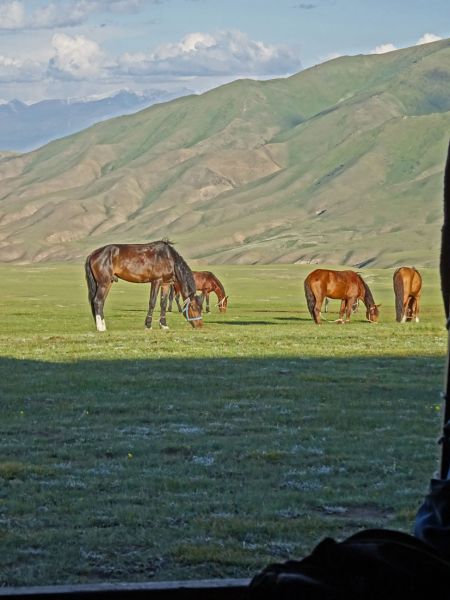 files/_uploads/2010_52q_Kyrgyzstan_d12/d12_AbendBlickausJurte.jpg