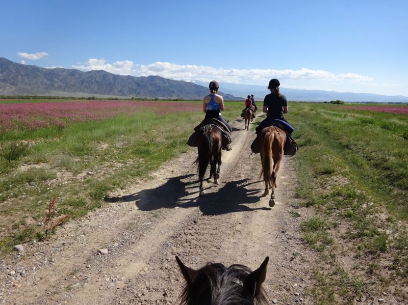 files/_uploads/2010_52q_Kyrgyzstan_d12/d12_Trail2.jpg