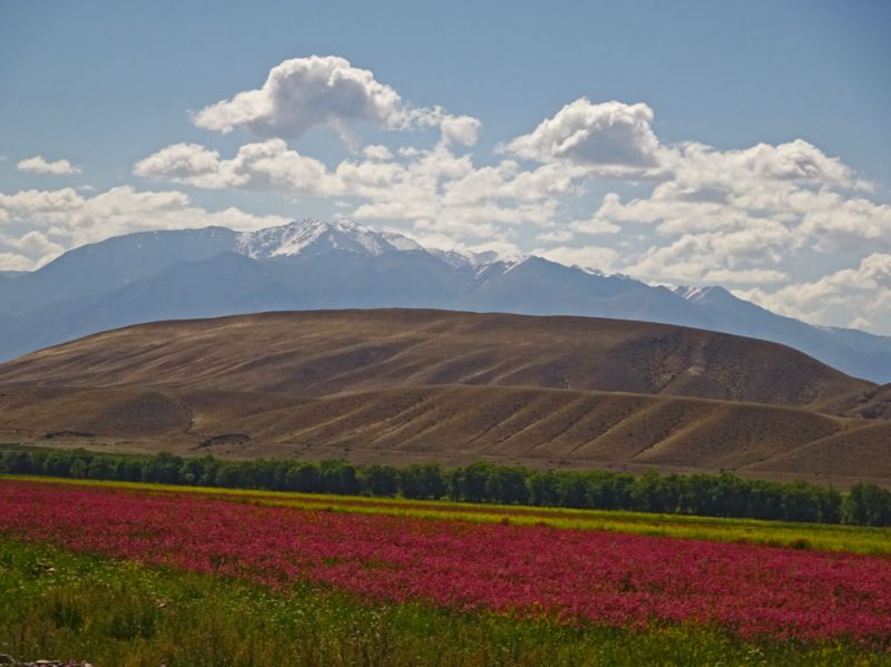 files/_uploads/2010_52q_Kyrgyzstan_d12/d12_Trail5.jpg