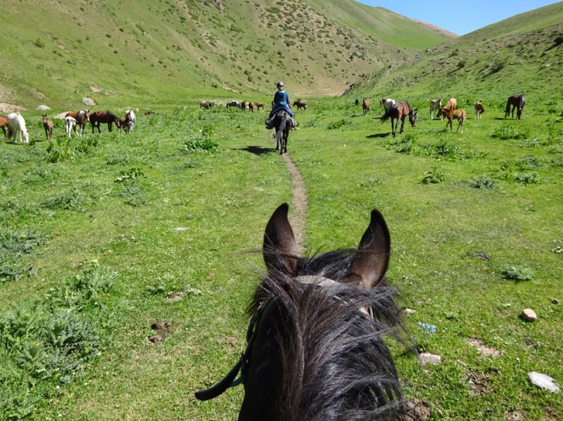 files/_uploads/2010_52r_Kyrgyzstan_d11/d11_Trail1.jpg