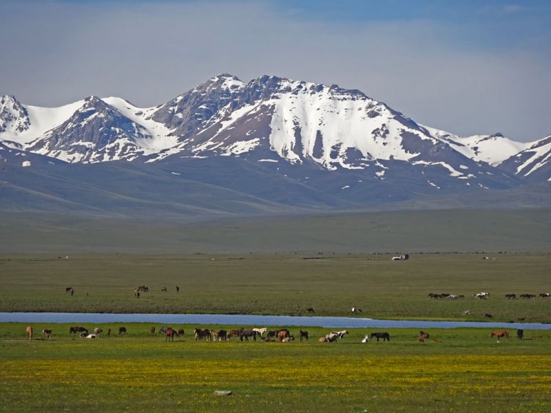 files/_uploads/2010_52s_Kyrgyzstan_d10/d10_Morgen2.jpg