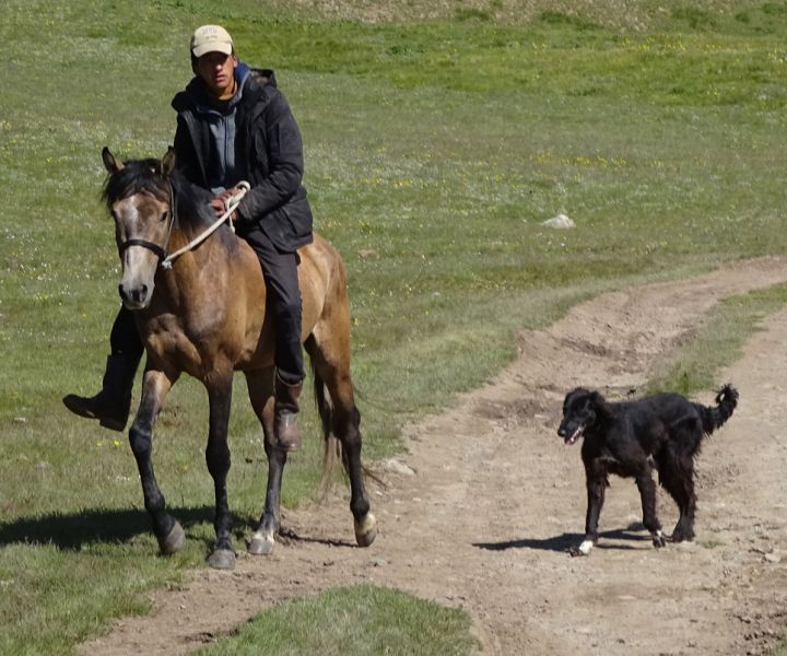 files/_uploads/2010_52s_Kyrgyzstan_d10/d10_Trail2-Taigan2.jpg