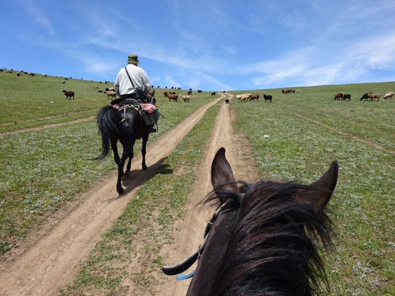 files/_uploads/2010_52s_Kyrgyzstan_d10/d10_TrailNM_1.jpg