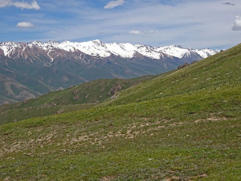 files/_uploads/2010_52s_Kyrgyzstan_d10/d10_TrailNM_2PassAusblick1.jpg