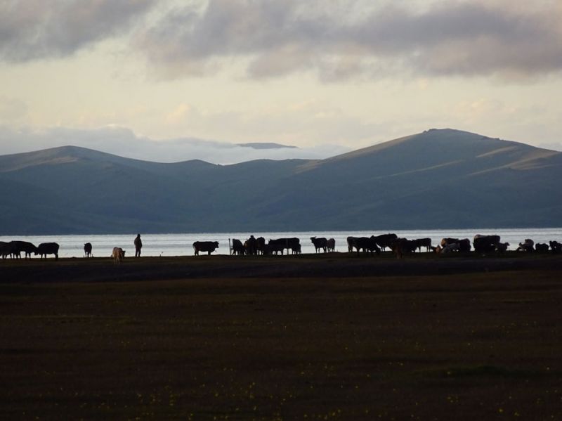 files/_uploads/2010_52u_Kyrgyzstan_d8/d8_AbendAbendstimmung1.jpg