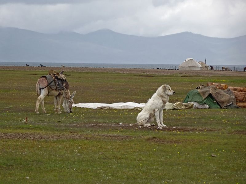 files/_uploads/2010_52u_Kyrgyzstan_d8/d8_AbendAnkunft1.jpg