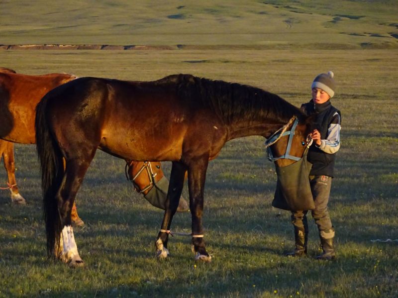 files/_uploads/2010_52u_Kyrgyzstan_d8/d8_PferdeFutter2.jpg