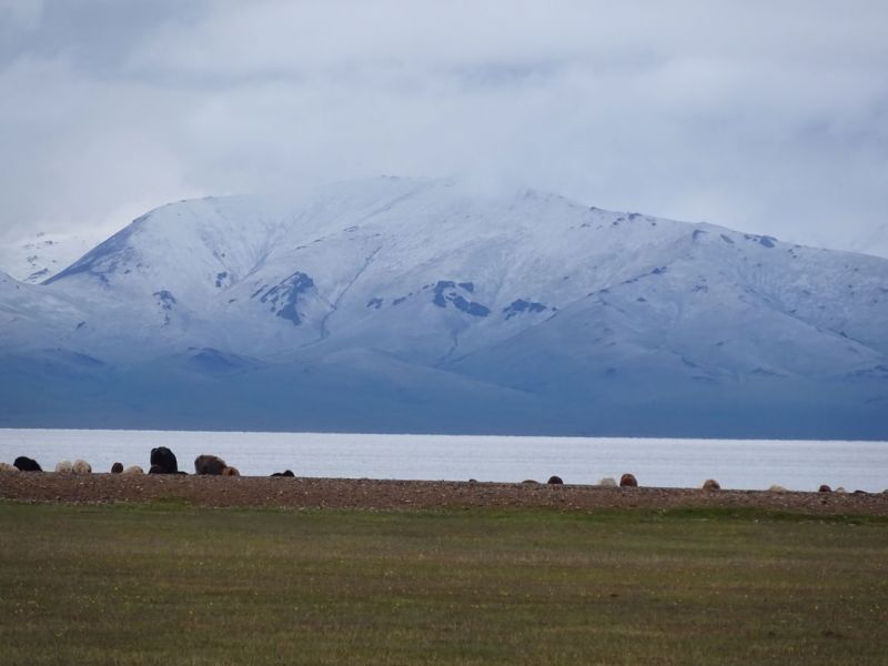 files/_uploads/2010_52u_Kyrgyzstan_d8/d8_Schnee2.jpg