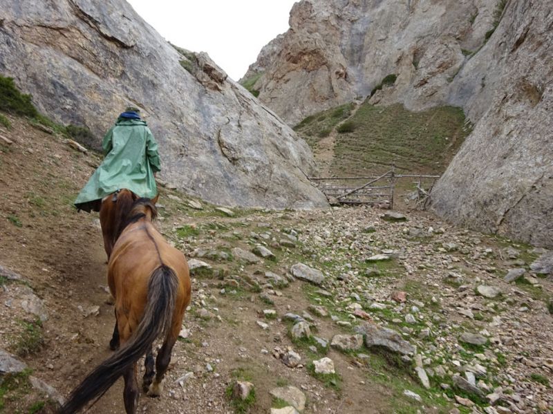 files/_uploads/2010_52u_Kyrgyzstan_d8/d8_Trail1Aufstieg5.jpg