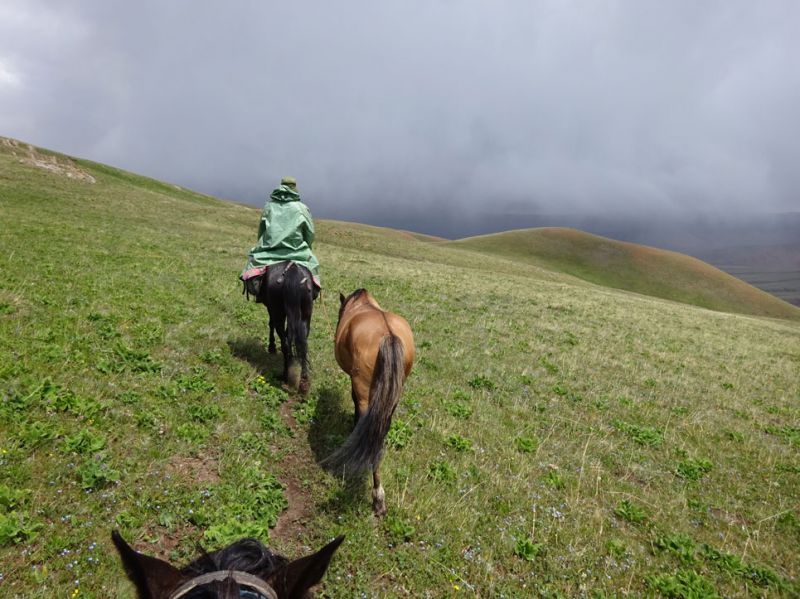 files/_uploads/2010_52x_Kyrgyzstan_d5/d5_Trail16Regen.jpg