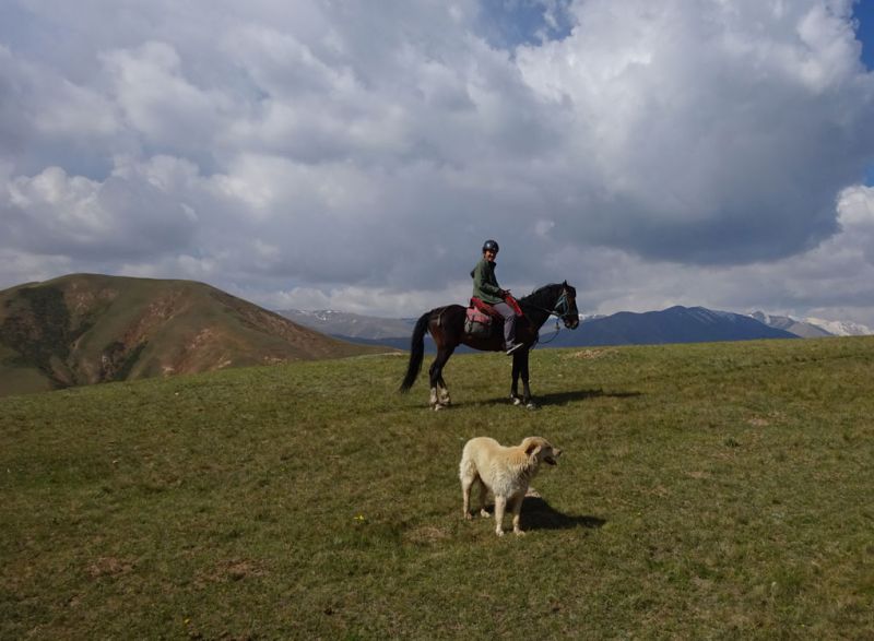 files/_uploads/2010_52x_Kyrgyzstan_d5/d5_Trail3.jpg