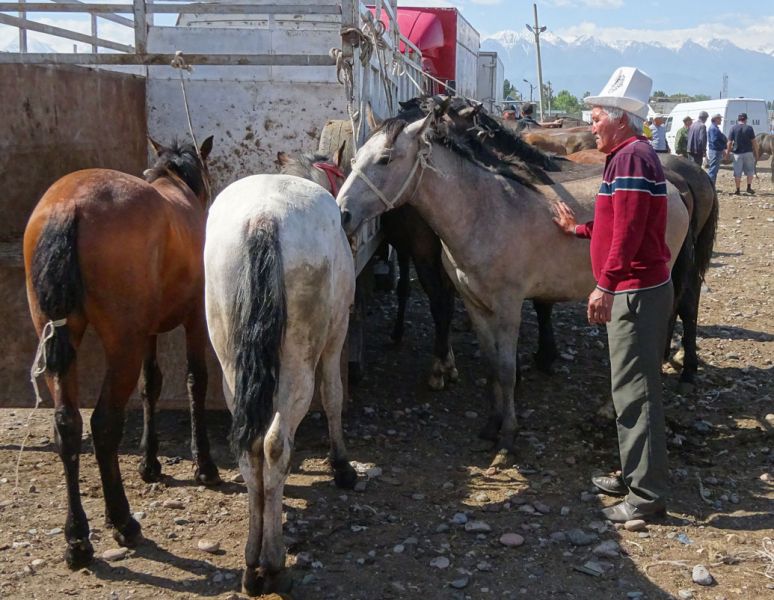 files/_uploads/2010_53a_Kyrgyzstan_d2/d2_Viehmarkt1.jpg