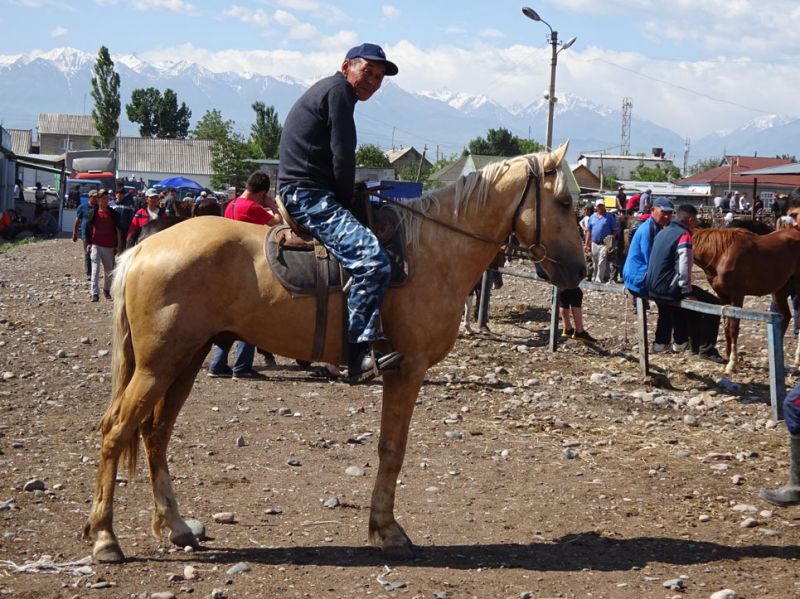 files/_uploads/2010_53a_Kyrgyzstan_d2/d2_Viehmarkt6.jpg