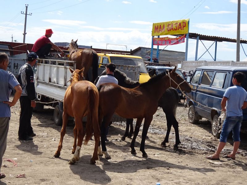 files/_uploads/2010_53a_Kyrgyzstan_d2/d2_ViehmarktVerladen.jpg