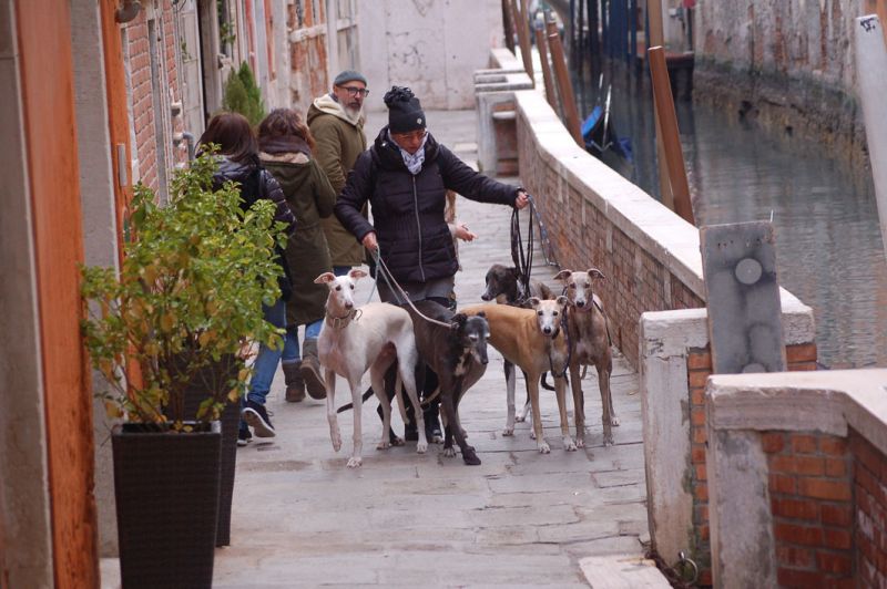 files/_uploads/2010_66_0_ItalyagainPartVenedig/Venedig20.jpg