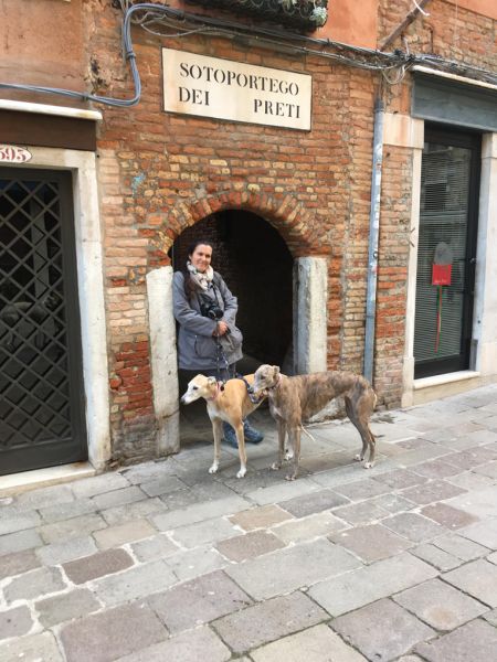 files/_uploads/2010_66_0_ItalyagainPartVenedig/ichmeineHunde.jpg