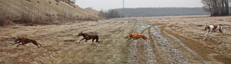 files/_uploads/2012_17_endlichFruehling/allehinterAnnierun2.jpg