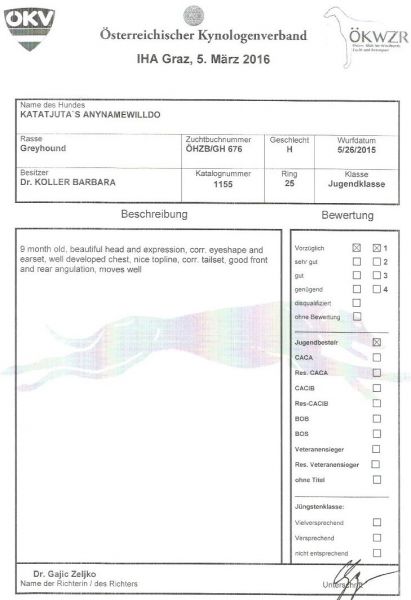 files/_uploads/2013_16_AusstellungAndantinoBesuch/AnnieGrazBewertung.jpg