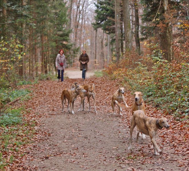 files/_uploads/GoeppingenmeetsWienerwald/Begruessung.jpg